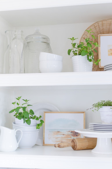 How to Style Open Shelving in the Kitchen - Nick + Alicia