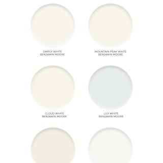 The Best Pale Pink Paint Colors - Nick + Alicia